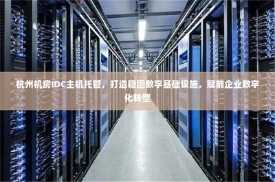杭州IDC主機托管 穩(wěn)固數(shù)字基礎(chǔ)設(shè)施，引領(lǐng)企業(yè)數(shù)字化轉(zhuǎn)型的堅實基石